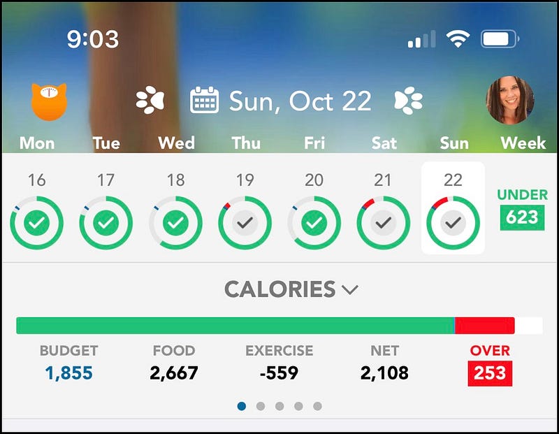 Week 4 Caloric Breakdown