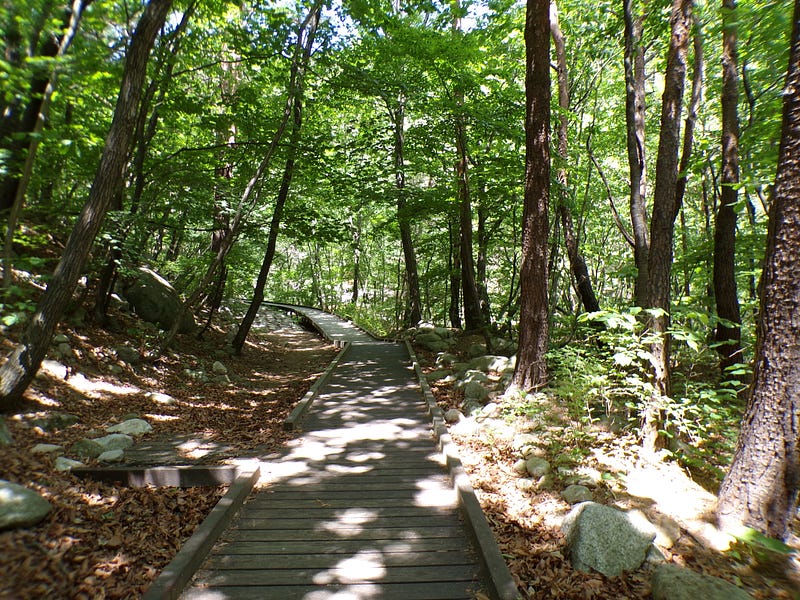 Seoraksan National Park, South Korea — Nature's inspiration