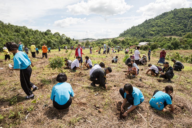 Restoration of natural processes to promote sustainability