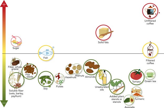 Cholesterol Level Impact from Different Foods