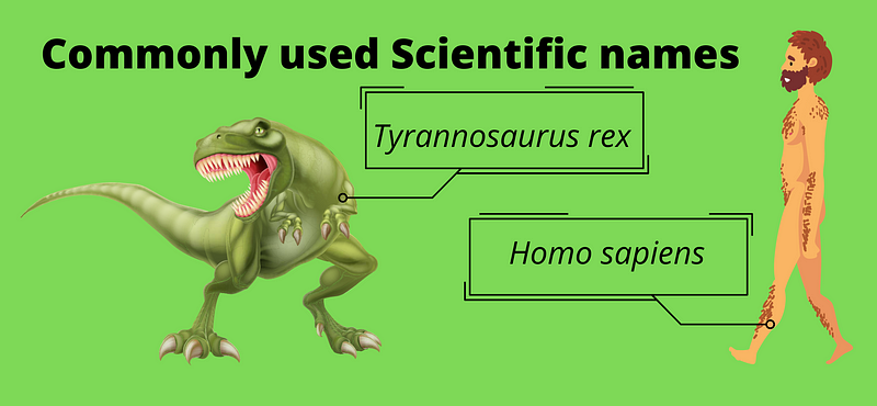 Consistency of Scientific Names