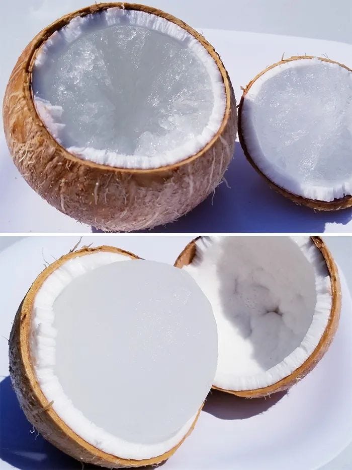 Frozen coconuts in a refrigerator