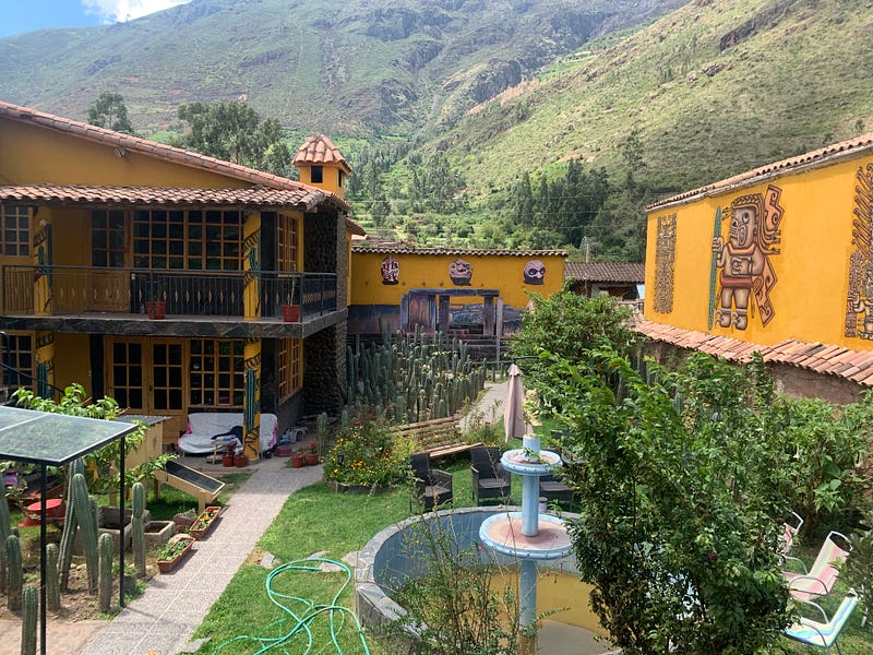 San Pedro cacti at Huachuma Wasi healing center.