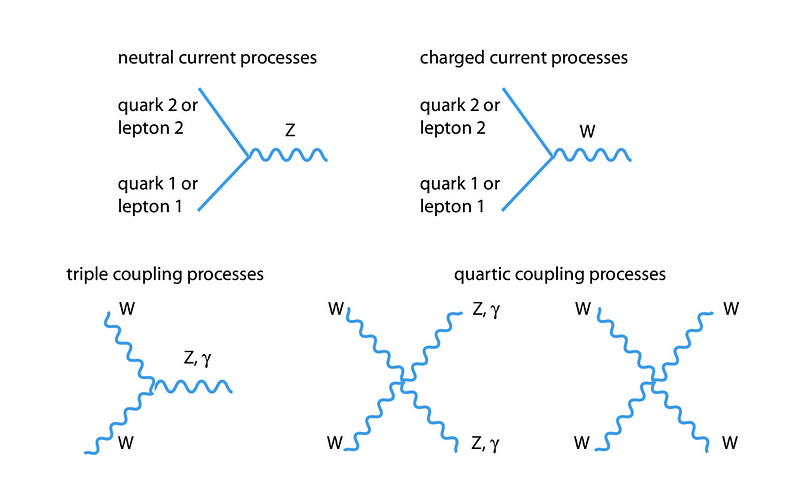 Visualization of Gauge Invariance