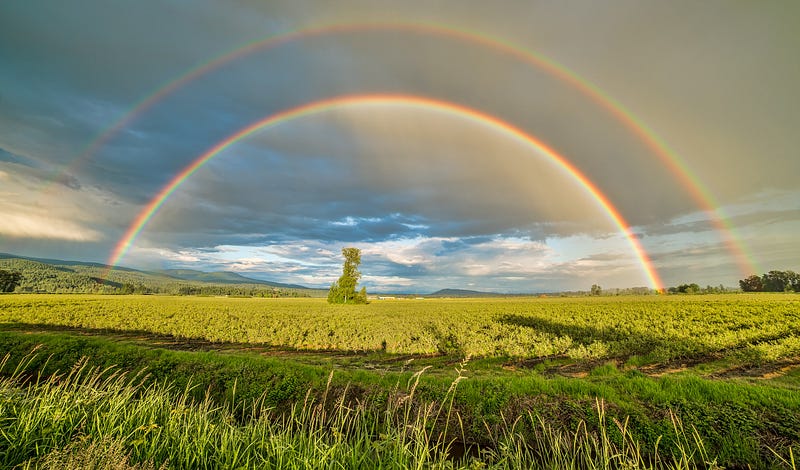 Colorful spectrum of a rainbow in nature