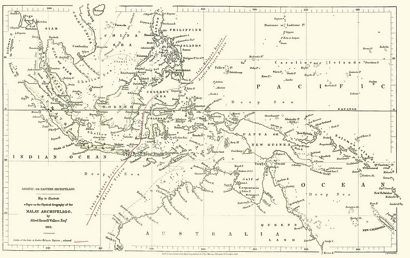 Map of the Malay Archipelago by Alfred Russel Wallace