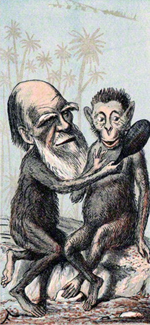 Cartoon depicting Darwin's theories