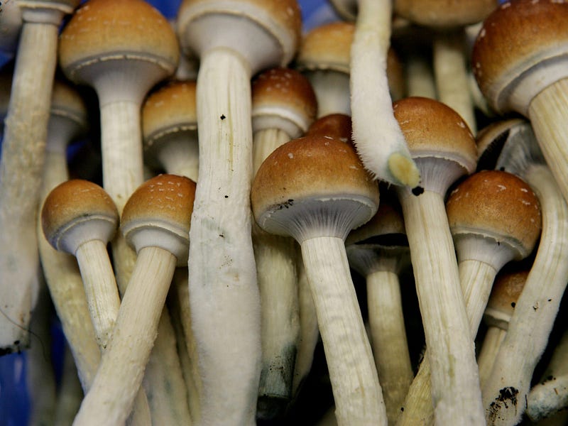 Psychedelics and Their Impact