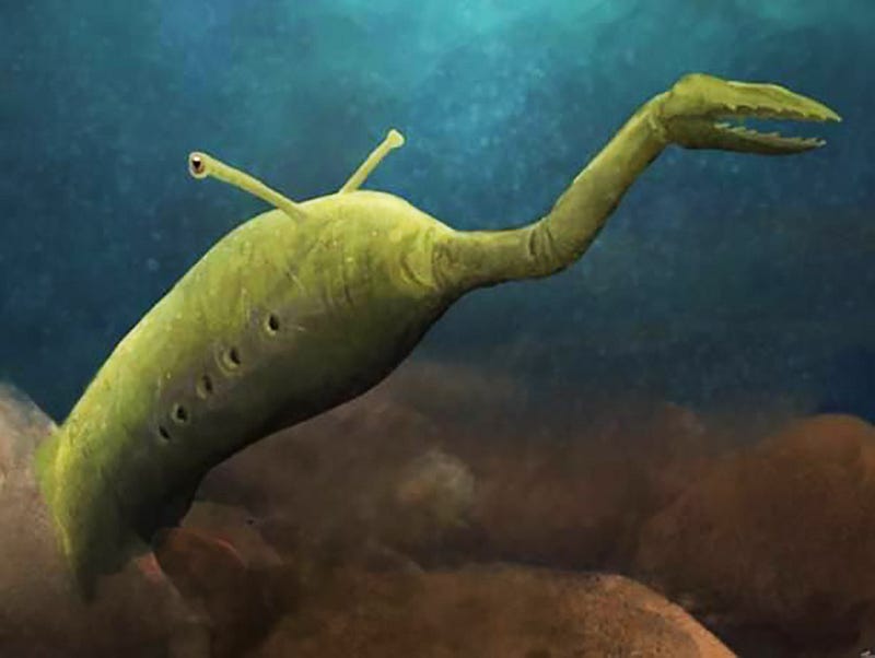 Artistic representation of the Tully Monster