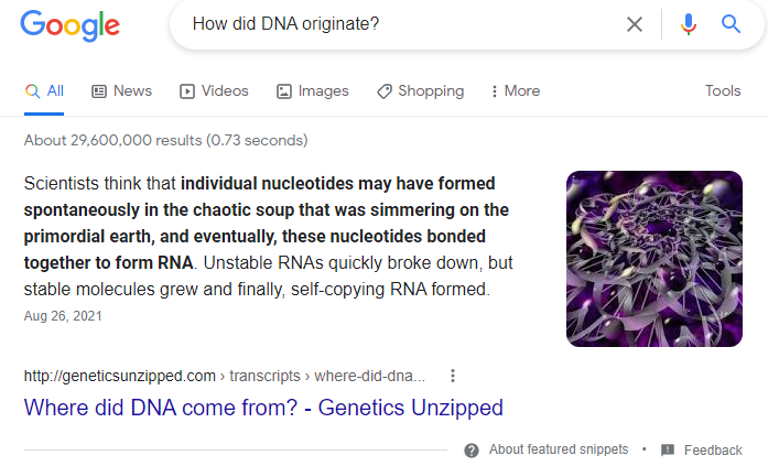 The Evolutionary Path of DNA