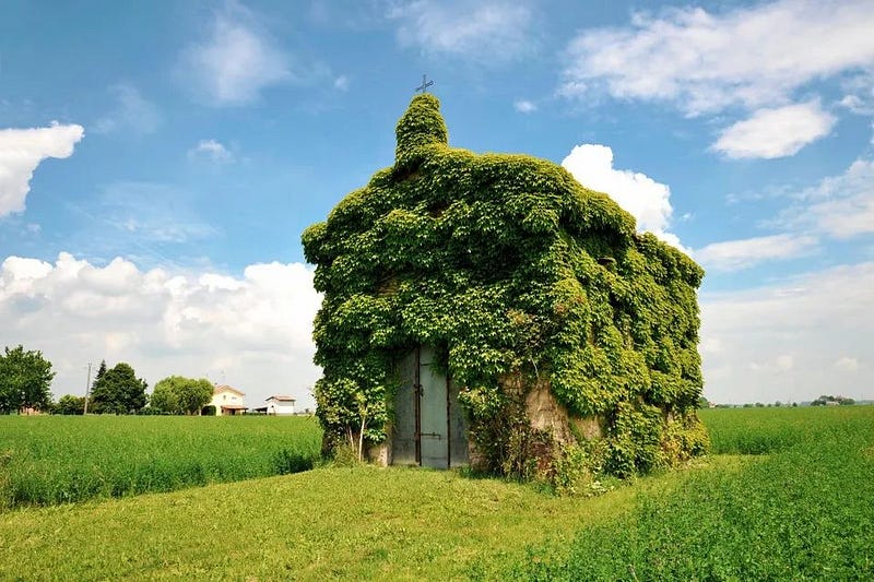 A whimsical treehouse-like cabin in Norway