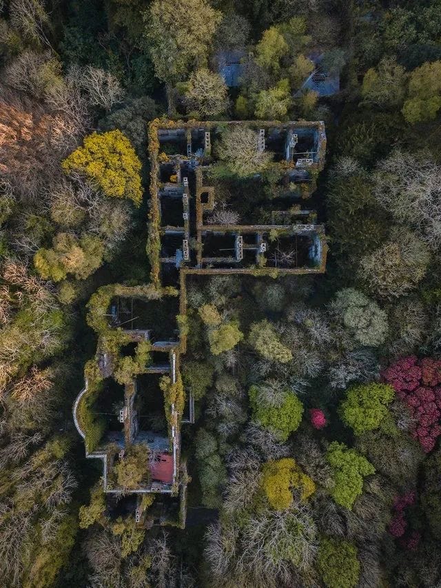 An abandoned 17th-century mansion embraced by nature in Anglesey