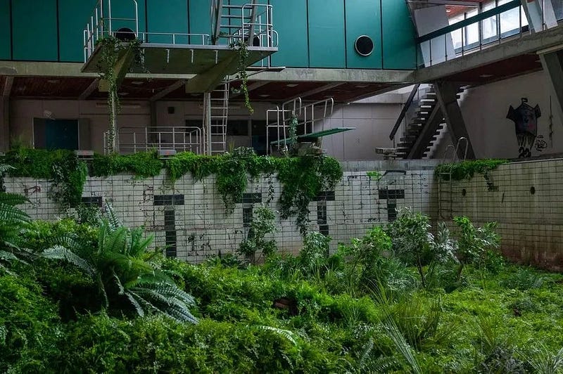 An overgrown swimming pool in Sweden, featured in the series “Rain”