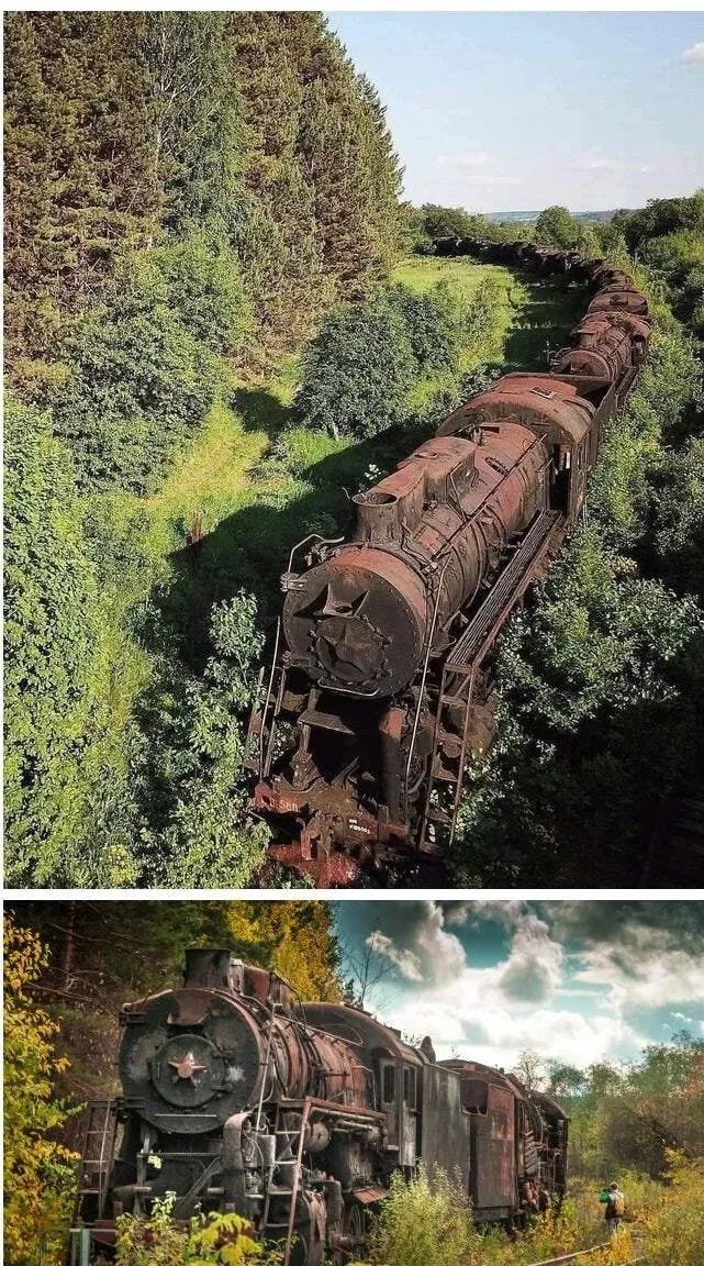 A steampunk-inspired train graveyard in Russia overrun by nature