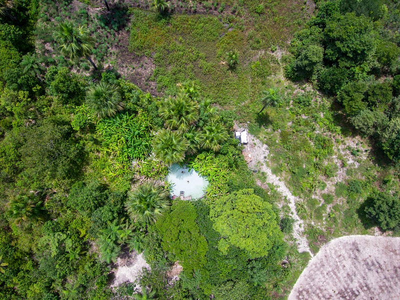 Ancient rock paintings discovered in Jalapão State Park