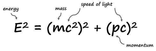 Understanding Metabolism and Energy Dynamics