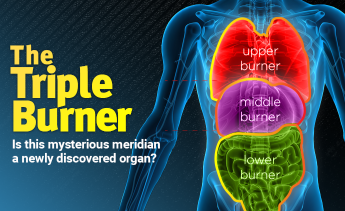 The Triple Burner Concept in Chinese Medicine