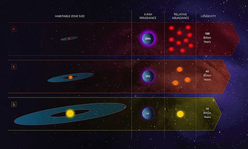 Infographic illustrating the habitable zone around different star sizes.