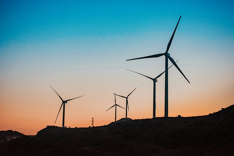 Bird collision with wind turbines