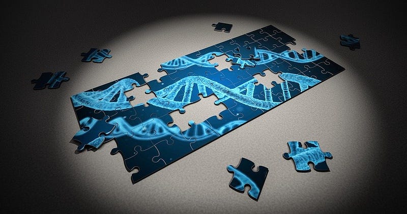 Illustration of DNA packaging