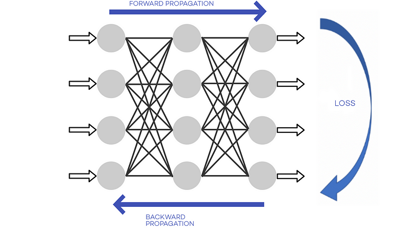 Training loop of artificial neural networks