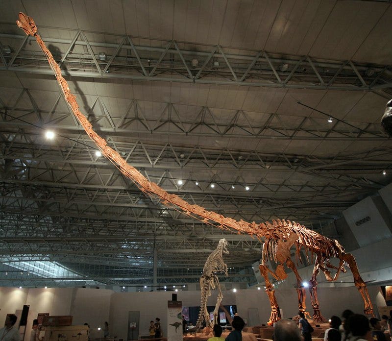 Mamenchisaurus sinocanadorum with a 50-foot-long neck