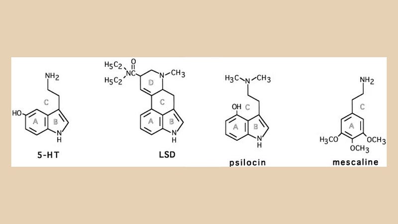 Structural Similarities of Psychedelics