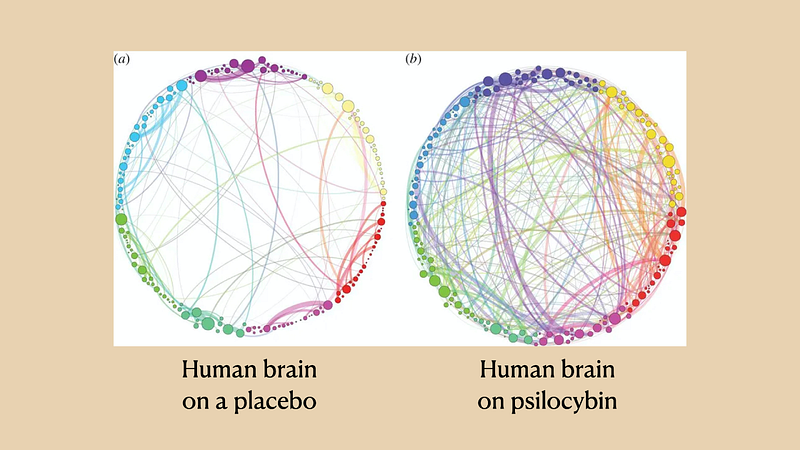 Brain Connectivity Under Psilocybin