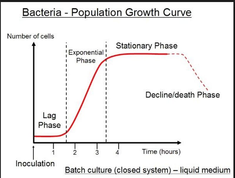 Bacteria growth in a petri dish